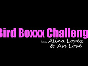 Bird Boxxx Challenge 2