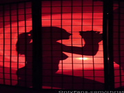Christina Khalil Silhouette Blowjob CIM PPV Onlyfans Video