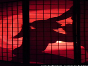 Christina Khalil Silhouette Blowjob CIM PPV Onlyfans Video