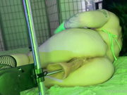 shego fuck machine the editing on the videos today may be ..