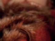 I just finished re-watching season 1 of Game of Thrones and