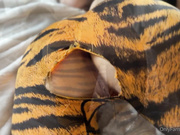 My Man's biggest weakness is my Ass (I hope this will never